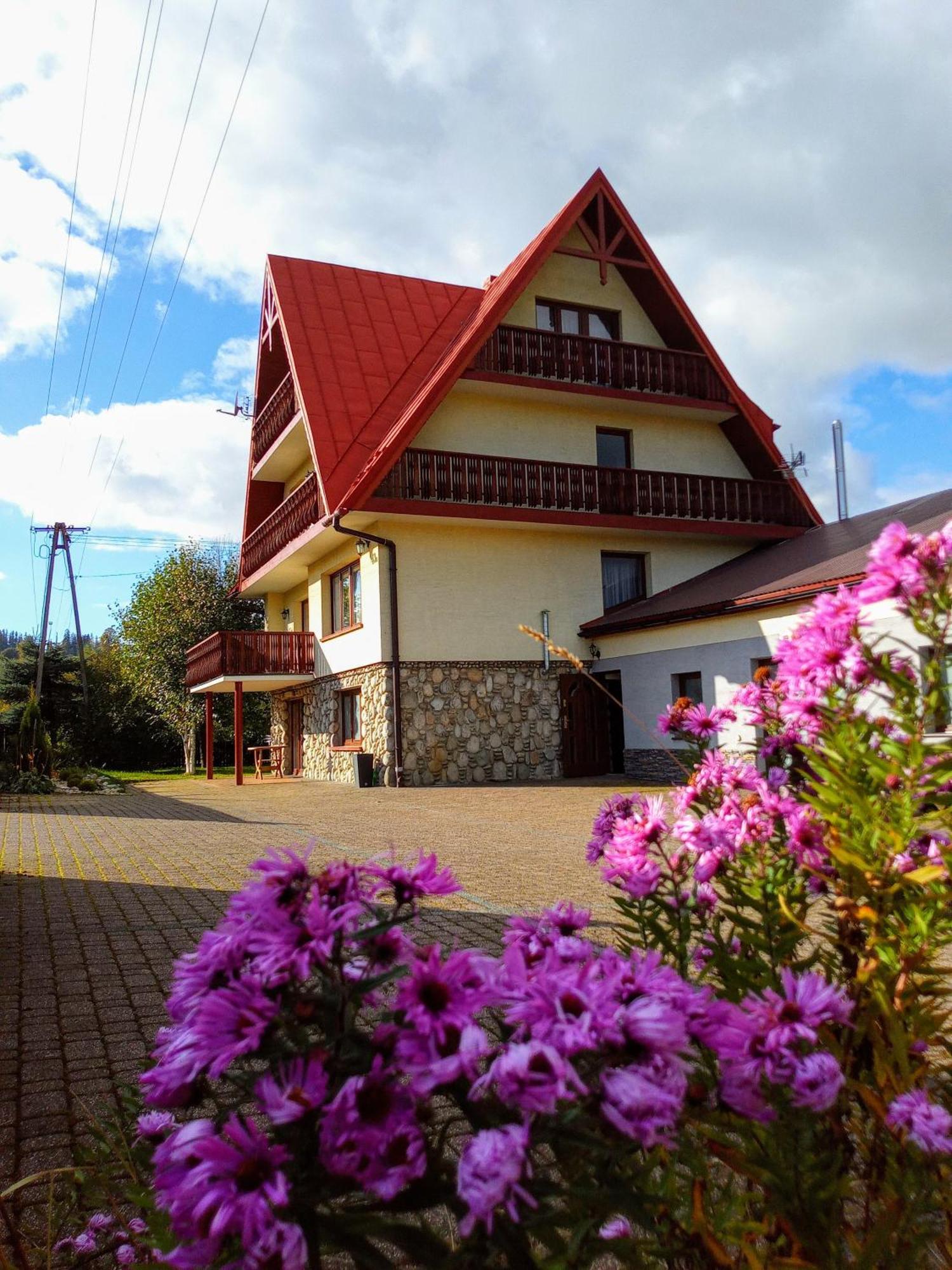 Apartamenty Geiger Witów Exterior foto